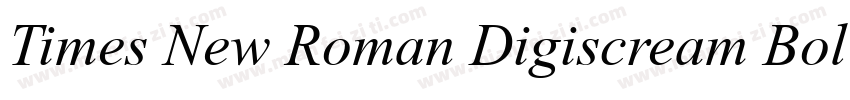 Times New Roman Digiscream Bold字体转换